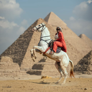 Explore Cairo